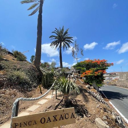 Finca Oaxaca - Casa Iguana Agaete  Zewnętrze zdjęcie